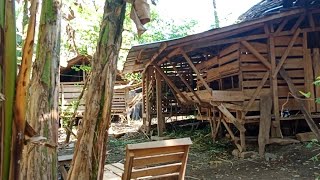 Legit Apem Tembem BahenolTinggal Di Hutan Hidup Sendirian Di Rumah Nyentrik Pedalaman Terpencil [upl. by Shirk]