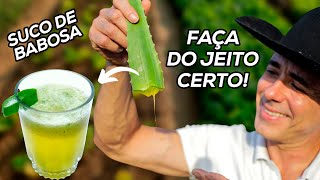 SE EU FOSSE VOCÊ COMEÇARIA A TOMAR SUCO DE BABOSA HOJE  Dr Dayan Siebra dieta emagrecer detox [upl. by Yelra945]