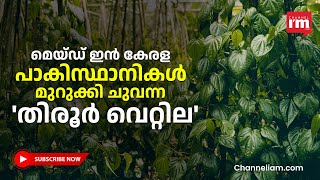 കോഴിക്കോട് നിന്നും ദുബായ് വഴി പറന്ന മലയാളികളുടെ വെറ്റില Made In India [upl. by Crosby]