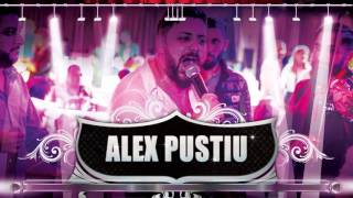 Alex Pustiu  Avioane americane LIVE 2016 [upl. by Ecyar3]