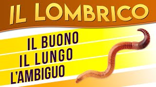 Il Lombrico il buono il lungo lambiguo ► Puntata 15 [upl. by Lias198]