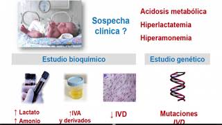 ACIDEMIA ISOVALÉRICA [upl. by Kaslik]