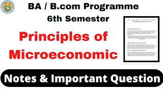 Principles of Macroeconomics Notes  BA amp Bcom Programme Notes 6th Semester Sarkari Result DU Sol [upl. by Maccarone]