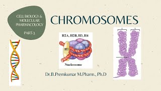 Chromosomes CBMPPart3 [upl. by Arze]