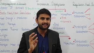 Ch15 Lec17 Thermoregulation in Animals UrduHindi Lecture Fsc MDCAT NUMS By M Bilal Chaudhary [upl. by Ofori]