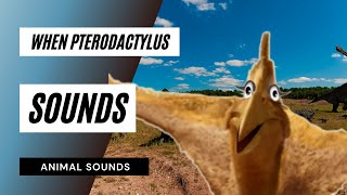 When pterodactylus sounds  the animal sounds pterodactylus sounds  sound effect  animation [upl. by Acim]