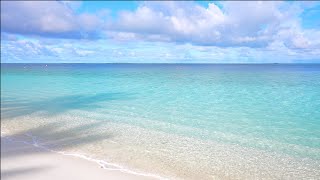 Cozy Tropical Beach Ambience in Maldives Ocean waves 4K Ultra HD [upl. by Airdnaed]