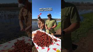 🦞 Early vs Late Season Crawfish Boils [upl. by Ifok]