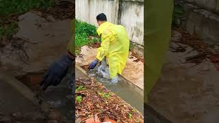 Unclogging Drain With Big Whirlpool viral drainage satisfying funny shorts [upl. by Okia]