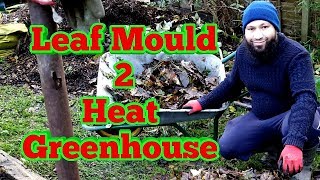 Leaf Compost Making To Heat Greenhouse  How To Make Leaf Mould [upl. by Lesslie71]