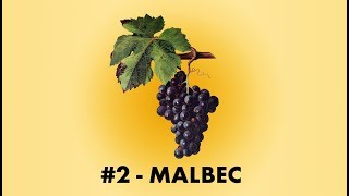 Cépage Sorcier 2  Le Malbec  English Sub [upl. by Jahncke]