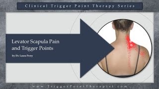 Levator Scapula Pain and Trigger Points [upl. by Miarfe526]