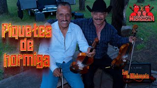 Conjunto Michoacán ft Los de Michoacán  Piquetes de hormiga [upl. by Deedahs]