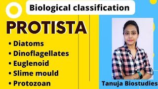 Biological Classification  Protista  DiatomsDinoflagellatesEuglenoidSlime mouldProtozoan NEET [upl. by Yreved991]