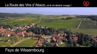 Vignoble de Wissembourg  Nord de la Route des Vins dAlsace [upl. by Nolrev149]