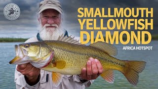 Smallmouth Yellowfish Diamond  Call Of The Wild The Angler [upl. by Lewellen]