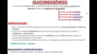 GLUCONEOGÉNESIS COMPLETO [upl. by Madelin672]