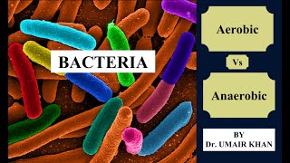 Aerobic Vs Anaerobic Bacteria by Dr Umair Khan I Bacteriology I Microbiology [upl. by Saffier343]