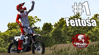 FEITOSA 450cc CHAMPION Brazilian Championship   MX Bikes [upl. by Naibaf]