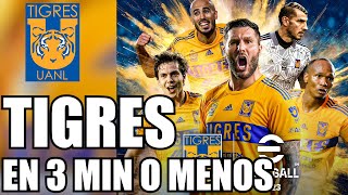 TIGRES UANL EN 3 MIN O MENOS  Heisenwolf [upl. by Baruch]