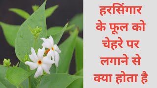 Harsingar ke phool ko chehre par lagane se kya hota hai [upl. by Ylrak]