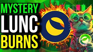 BREAKING NEWS MYSTERY BINANCE LUNC BURN WALLET STRIKES AGAIN [upl. by Yffat]