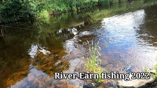 A couple of mornings on the River Earn Salmon Fishing River Earn Scotland [upl. by Adnowat]