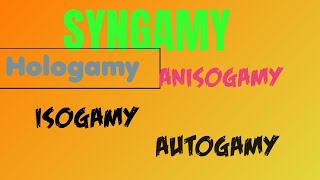 SyngamySexual Reproduction in ProtozoaHologamy Isogamy anisogamy autogamy [upl. by Tiebout]