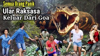 Ular Raksasa Tiba2 Keluar Dari Dalam Goa Gegerkan Warga [upl. by Acinomal]