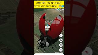 OMG 😱 I FOUND GAINT REDBUG IS 100 REAL 😱🌎👇 [upl. by Ahsiat]