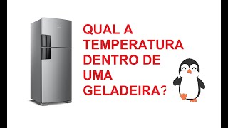 Qual a temperatura dentro de uma geladeira e do Freezer [upl. by Mapes984]