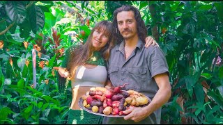 Our Food Forest in Australia  What we grow and eat from our garden [upl. by Einnaf5]