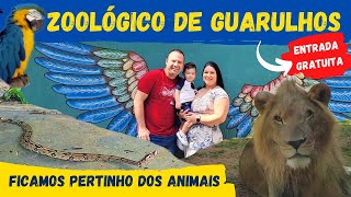 ZOOLÃ“GICO DE GUARULHOS  PASSEIO GRATUITO  CONHECENDO DIVERSOS ANIMAIS [upl. by Minnie]