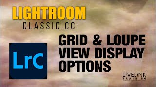 Grid and Loupe View Display Options [upl. by Nnanaej]