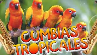 TROPICALES MIX PARA BAILAR EXITOS🎶CUMBIAS TROPICALES 2023💃🔆JUNIOR KLANLOS KARKISACAPULCO TROPICAL [upl. by Bently]