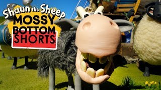 Bão  Mossy Bottom Shorts  Những Chú Cừu Thông Minh Shaun the Sheep [upl. by Leinad643]