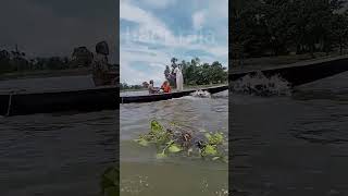 haor raja funny love bangladesg viralvideo viralshorts [upl. by Eruot]