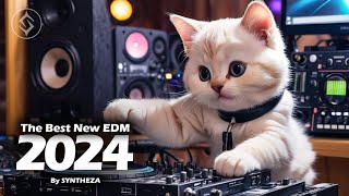 The best new EDM song of 2024 Get ready to dance 🎧 By SYNTHEZA [upl. by Notsirhc]