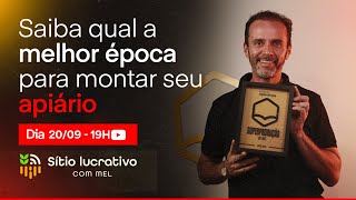 SAIBA QUAL A MELHOR ÉPOCA PARA MONTAR SEU APIÁRIO [upl. by Ruscio893]