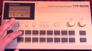 Roland TR505 demo [upl. by Satterlee318]