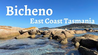 Bicheno Tasmania  Bicheno Must Visit  East Coast Tasmania  Tasmania  Australia  Road Trip  4K [upl. by Ulyram]