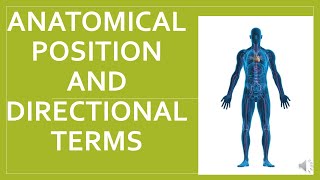 Anatomical Position and directional terms [upl. by Nemhauser]