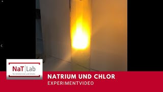 Natrium reagiert mit Chlor – Experiment für den Unterricht Chemie [upl. by Eerrehs238]