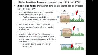 Virology Chapter 13 Part 1 [upl. by Norton814]