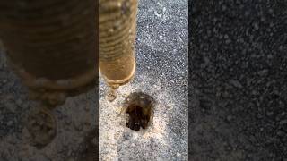 Pothole Poof Slurry Sucks Pipe Exposed 👀🕳⚠️🚧 [upl. by Saied]