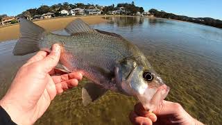 Terrigal Lagoon Fishing [upl. by Imis]