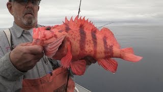 Coos Bay OR Rockfish amp Lingcod Fishing [upl. by Jimmy]