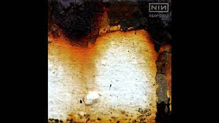 Nine Inch Nails  Beside You In Time Reaps Remix V2 [upl. by Monte]