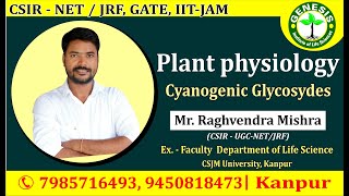 Cyanogenic  Glycosides Secondary Metabolites  CSIR NETJRF  GATE  Life science  ICMR [upl. by Gault816]