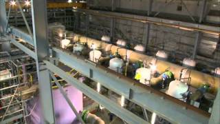 Fleur Australe Episode 15 VGB  The Wonthaggi plant in Australia [upl. by Assej188]